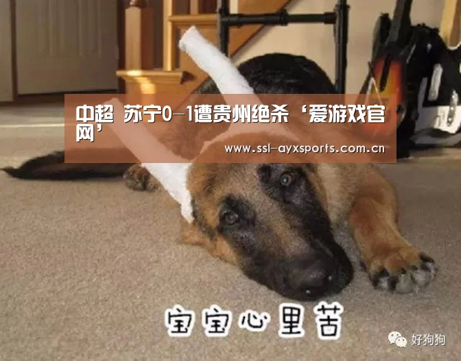 爱游戏app