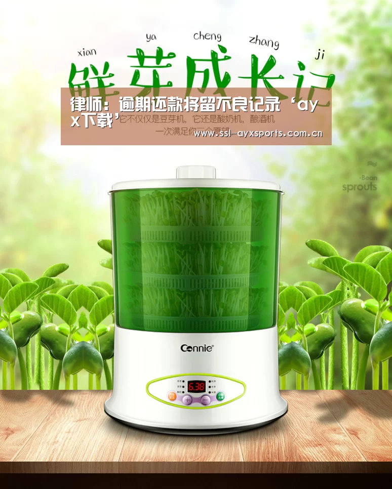 ayx下载