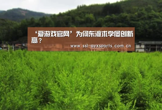 爱游戏官网