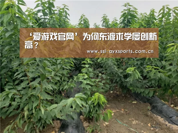 爱游戏官网