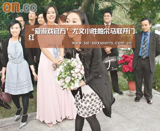 ayx下载