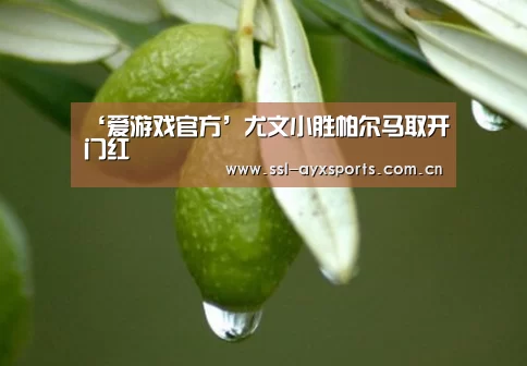 爱游戏官网