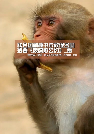 ayx下载