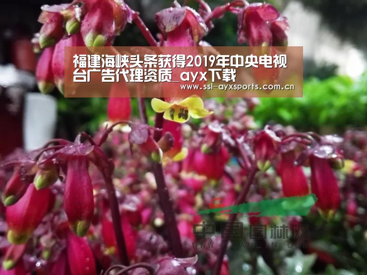 爱游戏官网